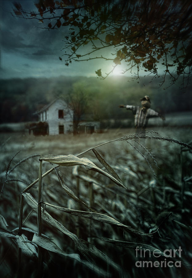 Old farmhouse in autumn corn fields #1 Photograph by Sandra Cunningham