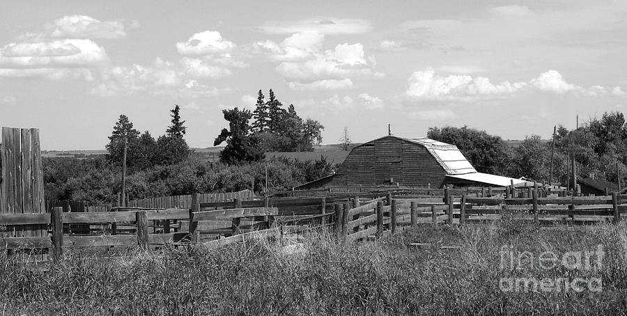 Rural Scene Photograph - Old Farmstead #1 by Jim Sauchyn