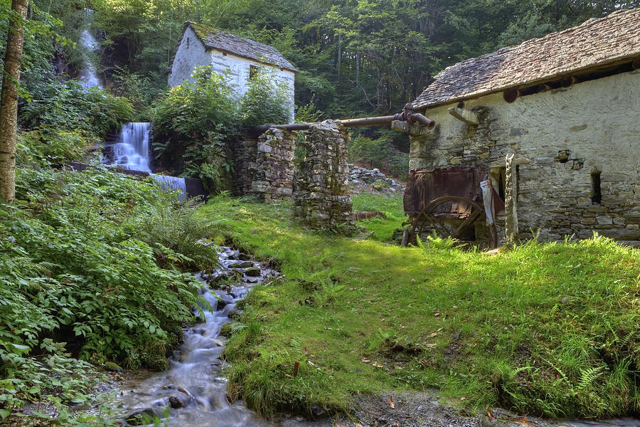 Tree Photograph - Old Watermill #1 by Joana Kruse
