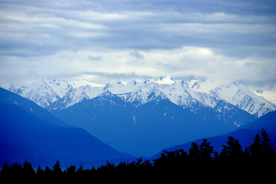 Olympic Mountains Photograph by Marilyn Wilson