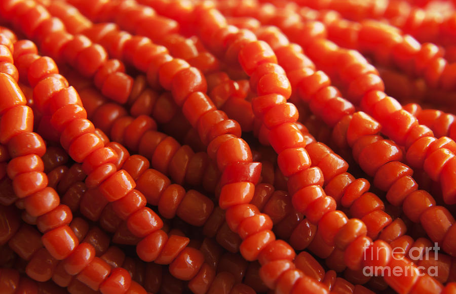 Abstract Photograph - Orange coral beads #1 by Blink Images