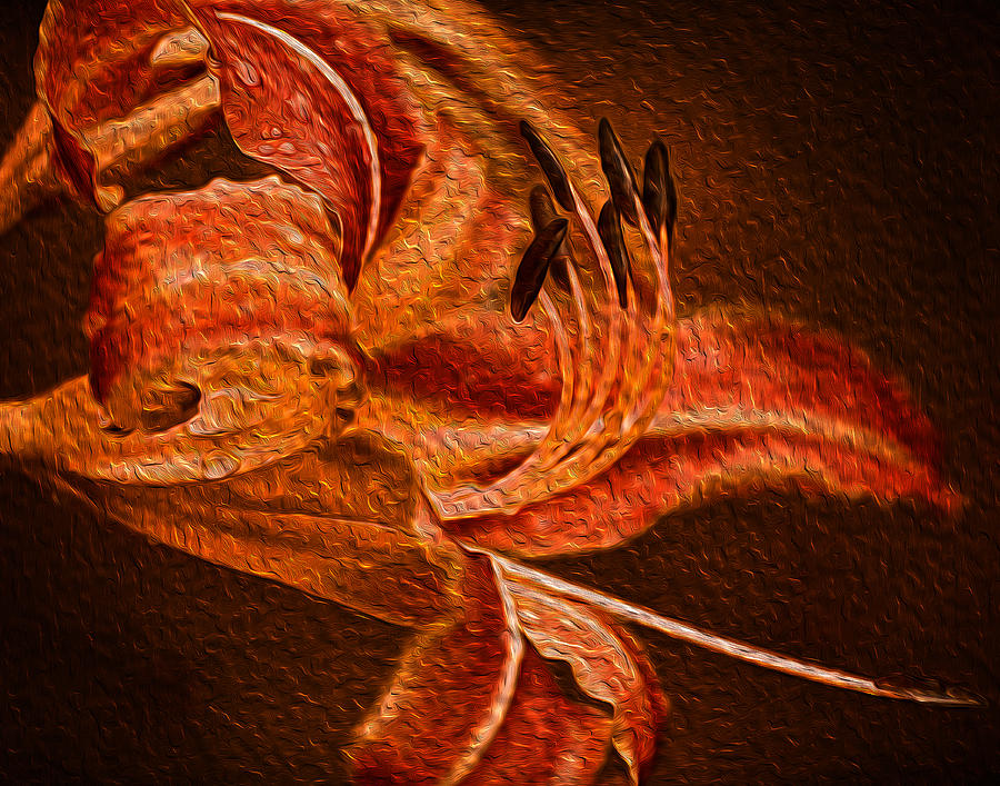 Orange Flower #1 Digital Art by Prince Andre Faubert