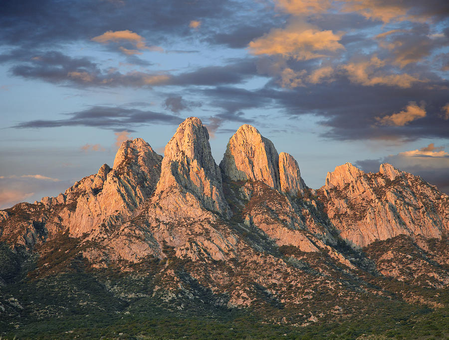 Organ Mountains Near Las Cruces New #1 Photograph by Tim Fitzharris