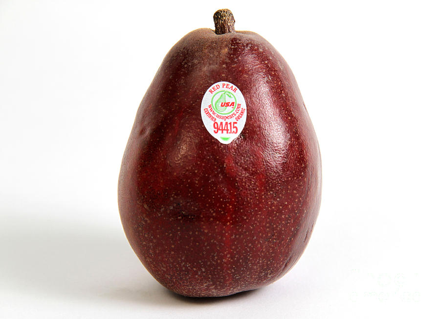 Organic Pear #1 Photograph by Photo Researchers