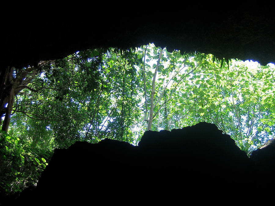 Nature Photograph - Out of the cave #1 by Ivan SABO