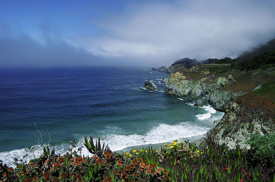 Pacific Coast #1 Photograph by Renee Hardison