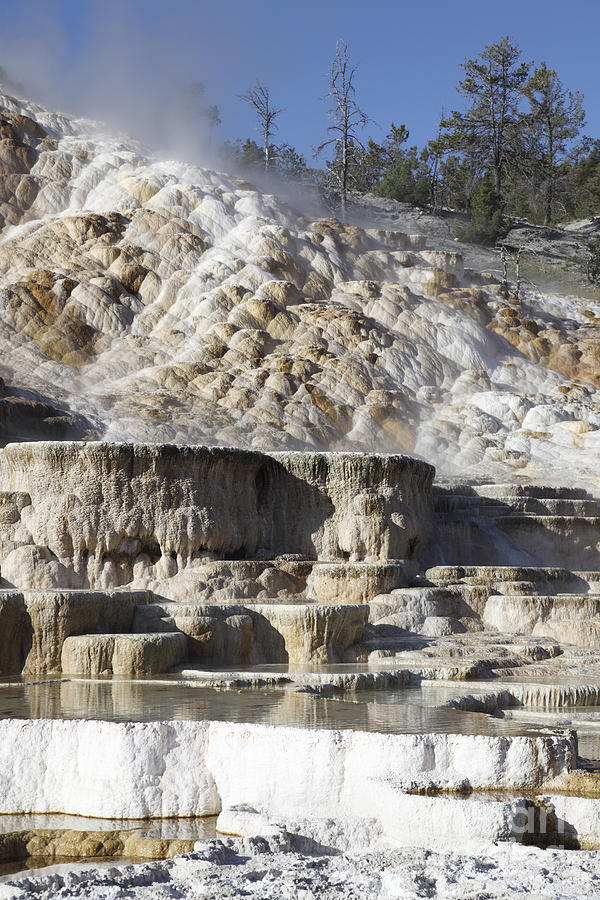 Palette Spring And Travertine Sinter #1 Photograph by Richard Roscoe ...