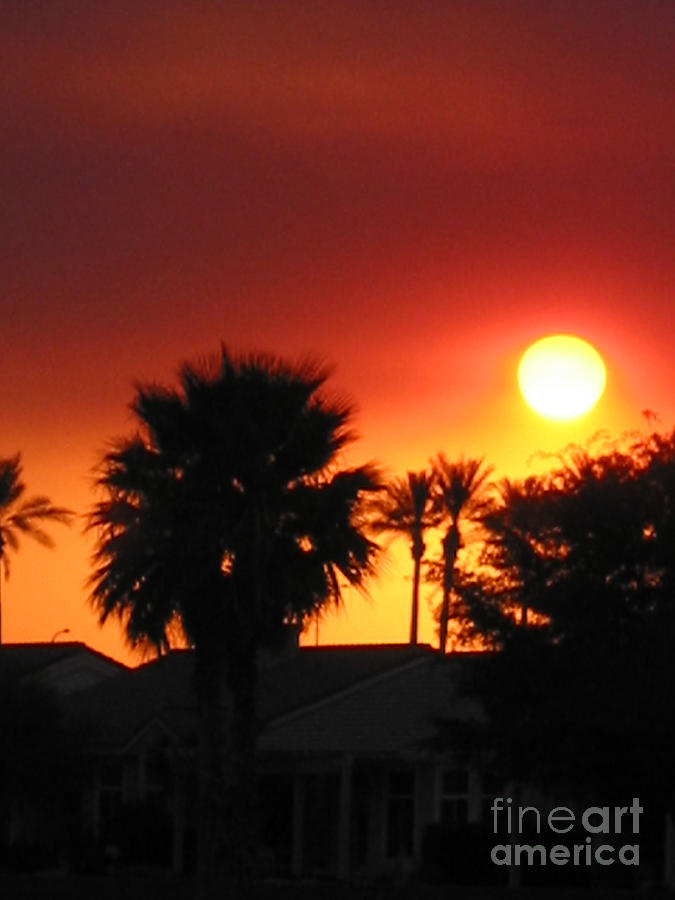 Palm Desert Sunset #3 Photograph by Phyllis Kaltenbach