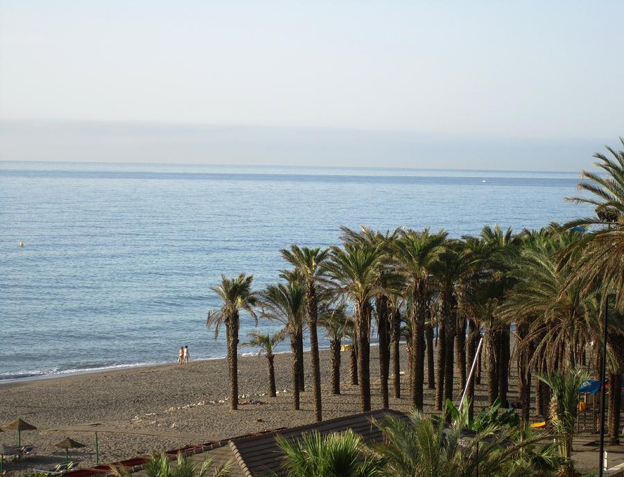 Palm Trees at Costa Del Sol Beach Spain #1 Photograph by John Shiron