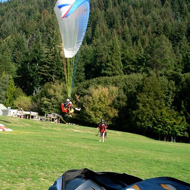 Cat Photograph - #paragliding #nz #1 by Ashley Grant