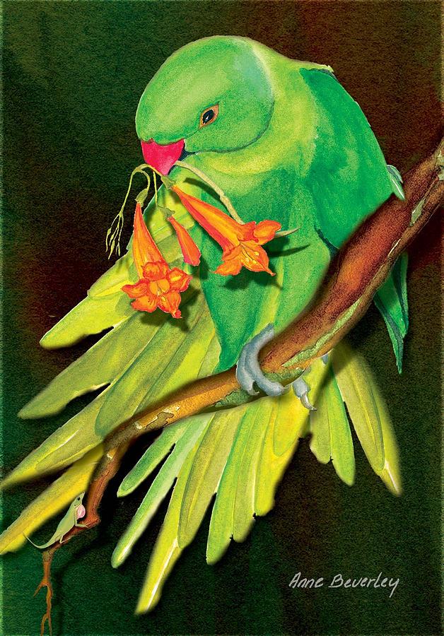 Parrot with Crossvine #1 Painting by Anne Beverley-Stamps