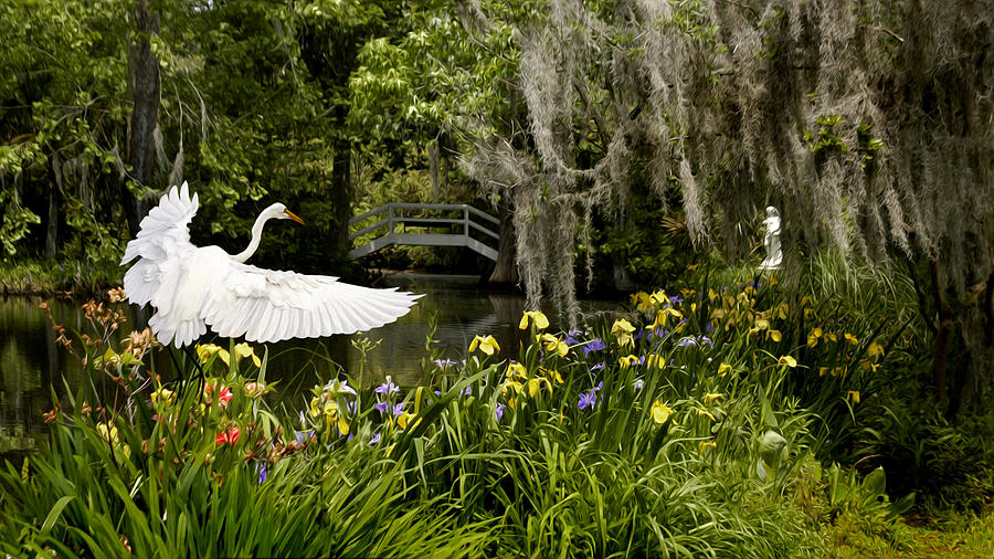 Egret Photograph - Peaceful Pond #1 by Cecil Fuselier