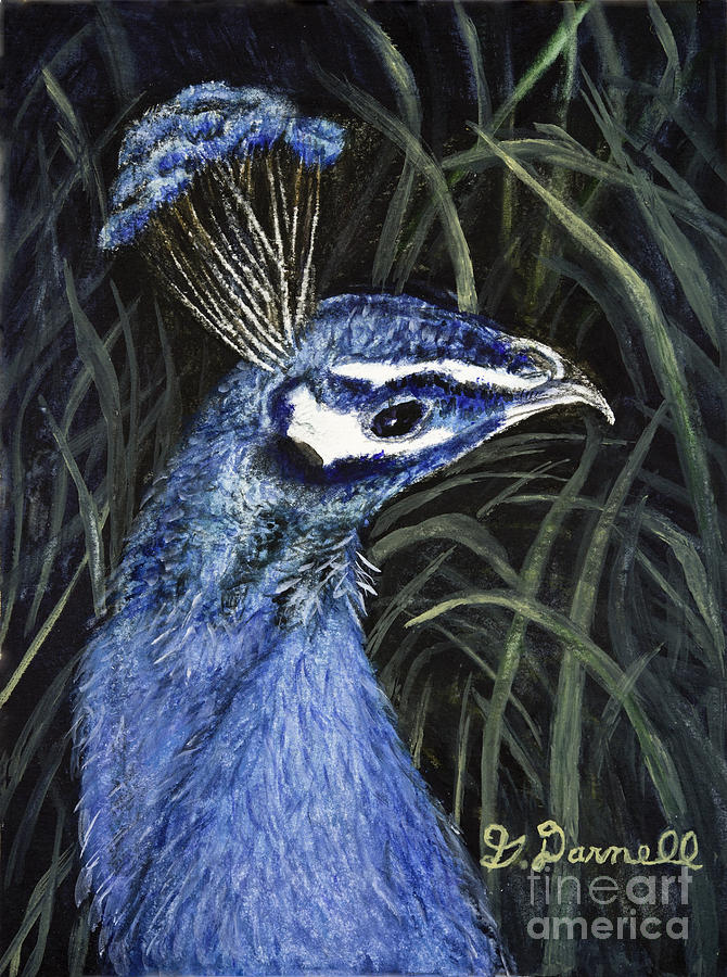 Peacock Painting - Peacock in the Grass #1 by Gail Darnell