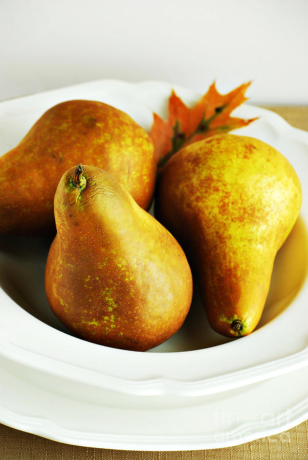 Fall Photograph - Pears #1 by HD Connelly