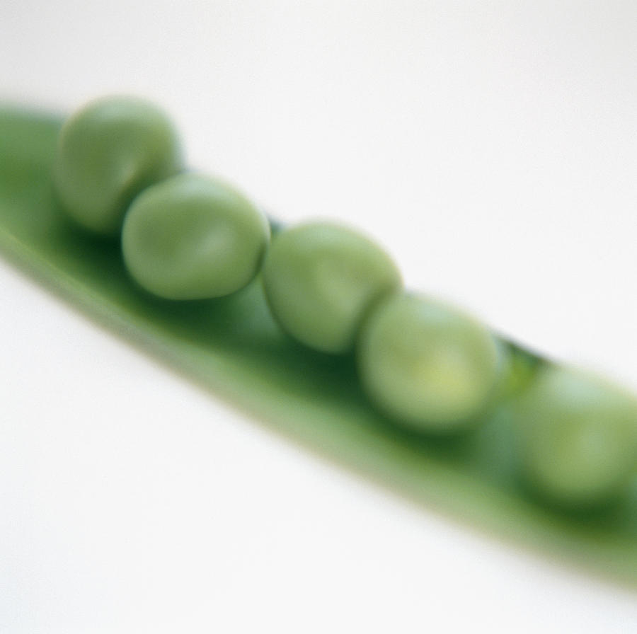 Vegetable Photograph - Peas In A Pod #1 by Cristina Pedrazzini