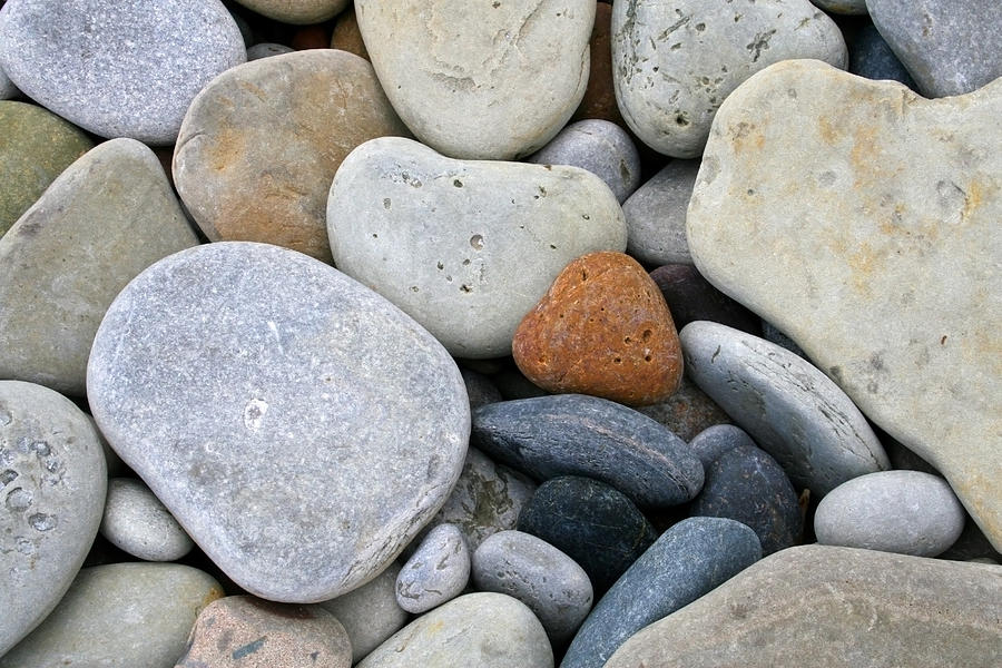 Pebbles On A Beach Photograph By Nadine Mot Mitchell - Fine Art America