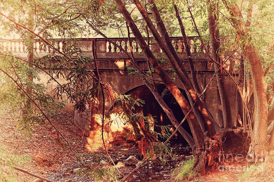 Pedestrian Bridge And Strawberry Creek  . 7D10132 #1 Photograph by Wingsdomain Art and Photography