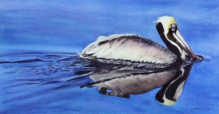 Bird Painting - Pelican Glide by Cory Clifford Bird Painting - Pelican Glide by Cory Clifford