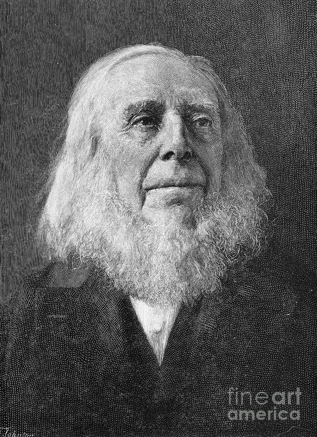 Portrait Photograph - Peter Cooper (1791-1883) #1 by Granger