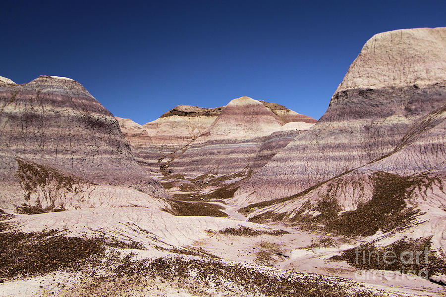 Petrified Forest National Park Photograph - Petrified Forest Blue Mesa #1 by Adam Jewell