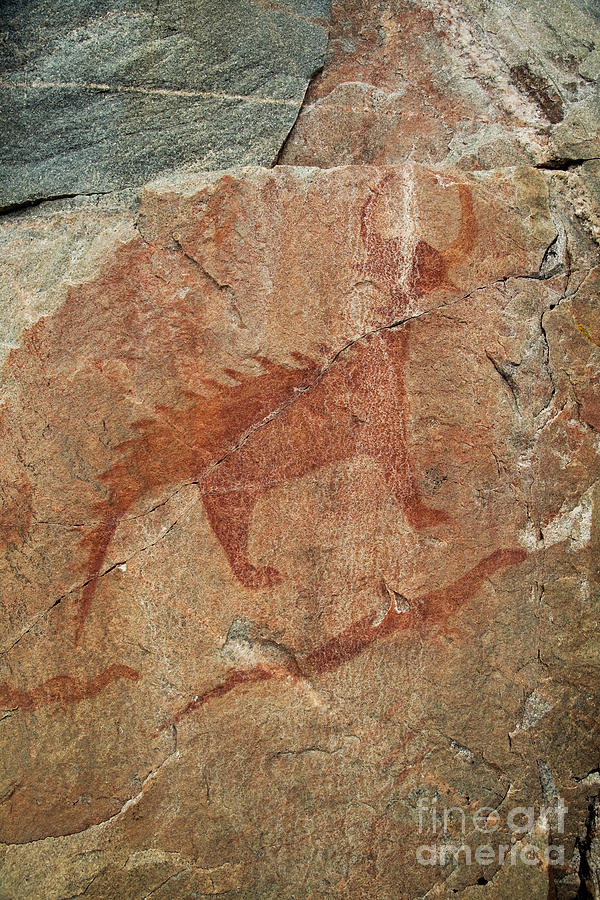 Petroglyph At Agawa Rock #1 Photograph by Ted Kinsman