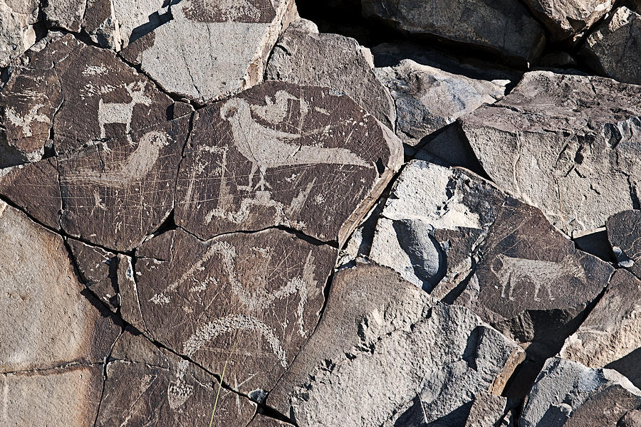 Petroglyphs Photograph by Melany Sarafis