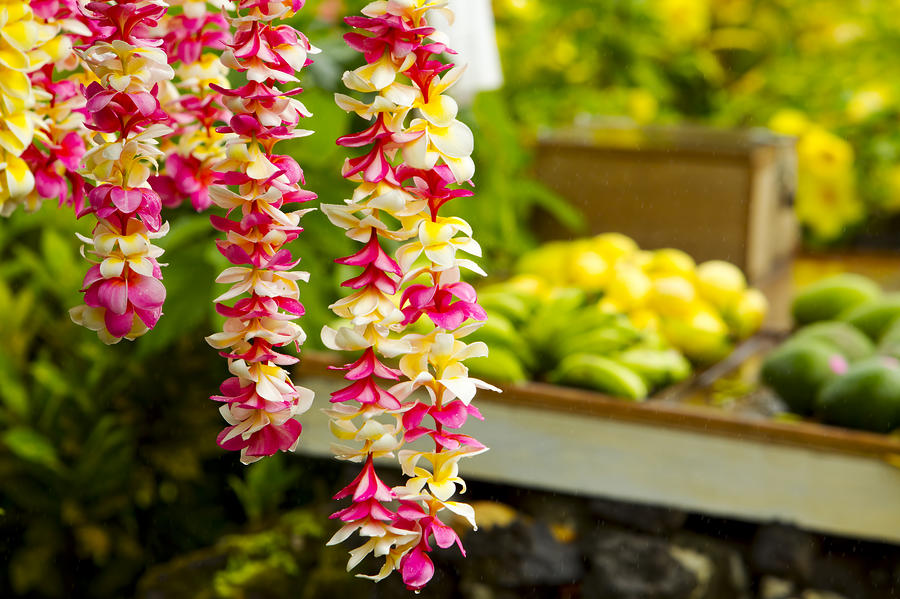 Pink and Yellow Leis #1 Photograph by Dana Edmunds - Printscapes