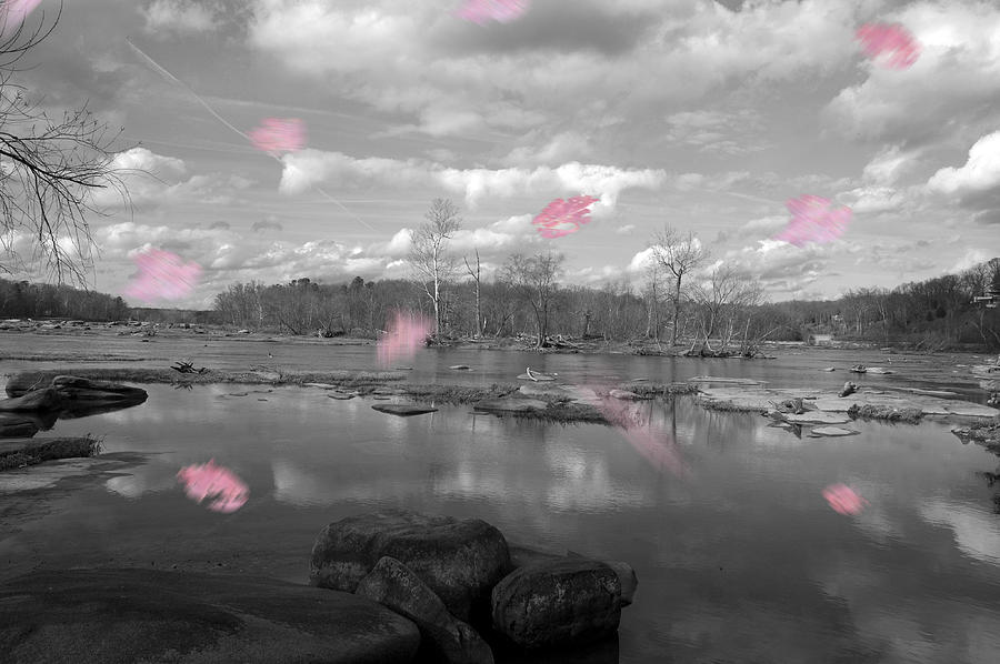 Pink Fall #1 Photograph by Kelvin Booker