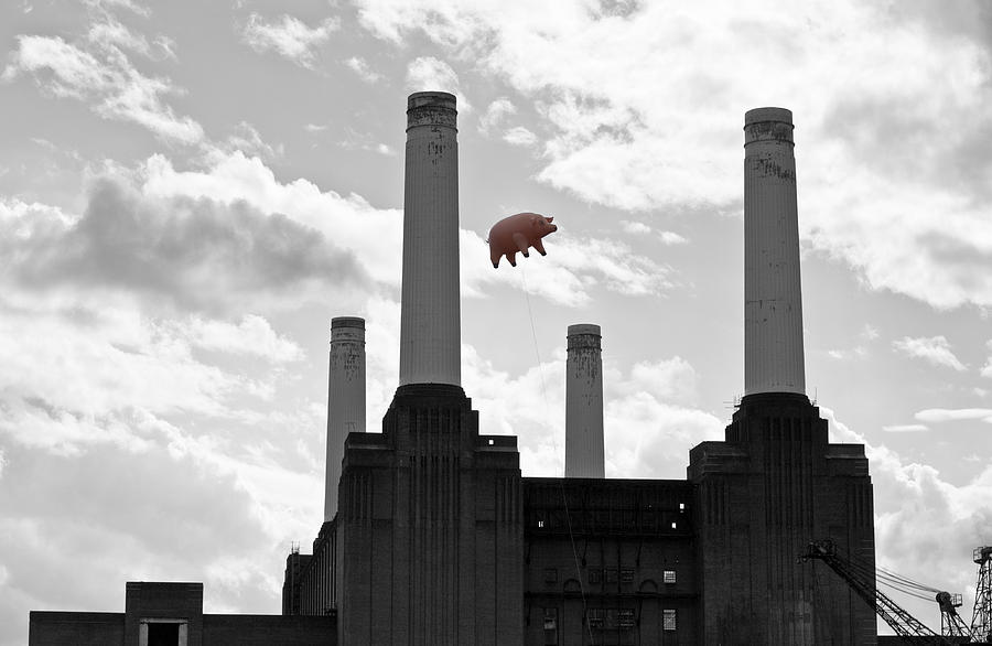 Pink Floyd Photograph - Pink Floyd Pig at Battersea #1 by Dawn OConnor