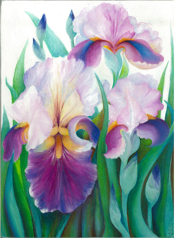 Pink Iris Painting by Barbara Anna Cichocka