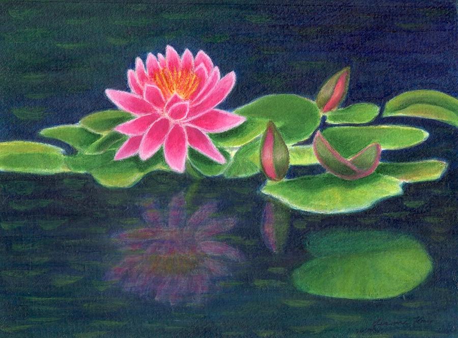 Pink Lily of the Pond #1 Painting by Jeanne Juhos