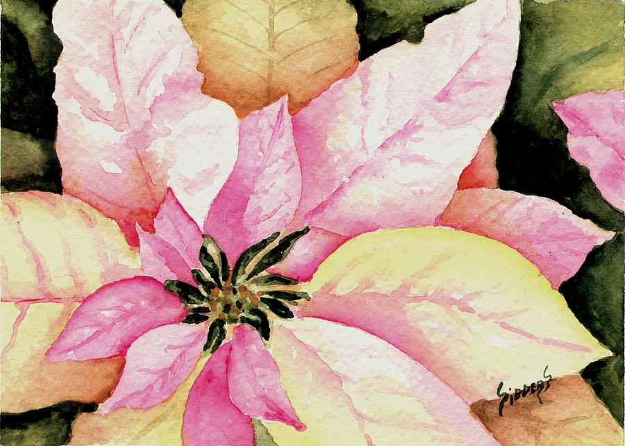 Flowers Still Life Painting - Poinsettia #1 by Sam Sidders