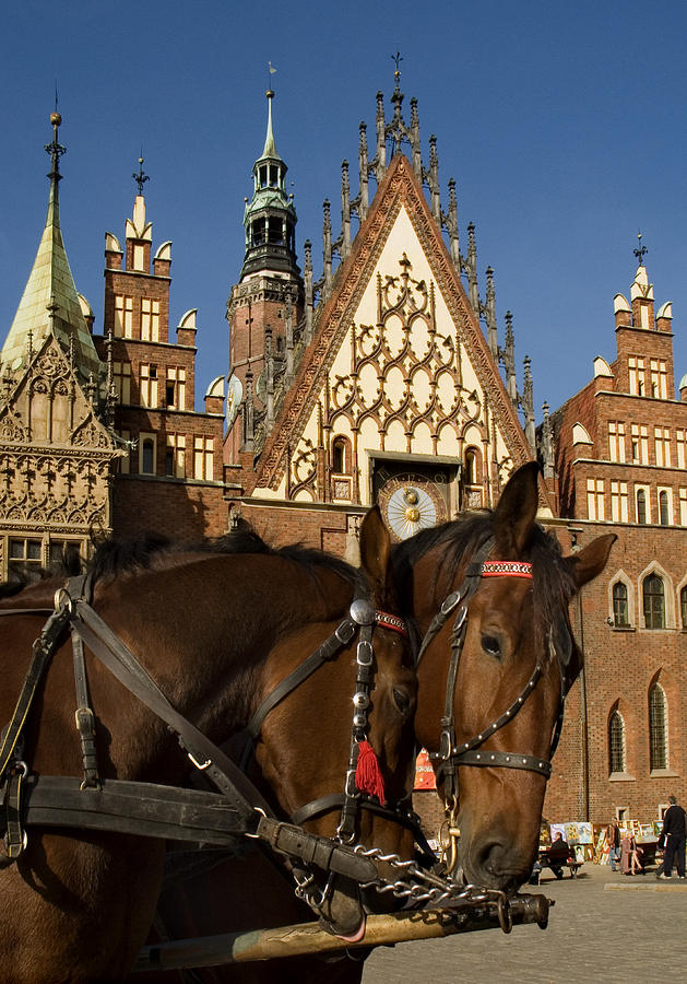 Poland Wroclaw Town Hall #1 Photograph by David Harding
