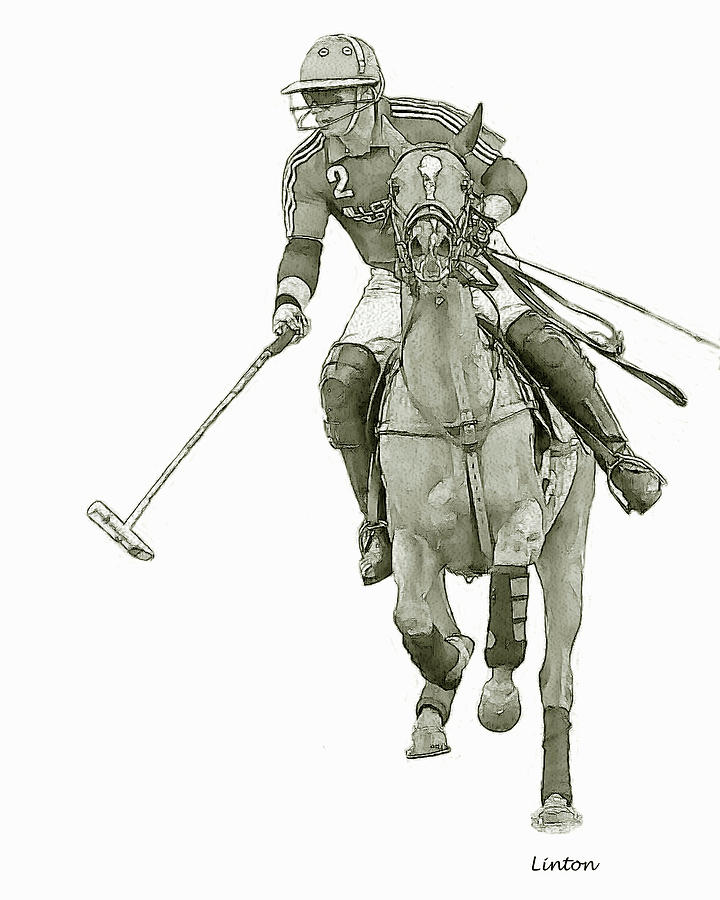 Polo Sketch 15 #1 Digital Art by Larry Linton