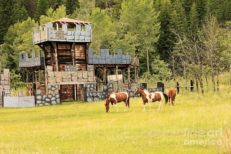 Castle Photograph - Ponies And A Castle #2 by Roland Stanke