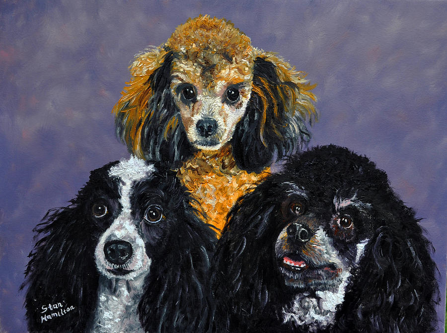 Poodle Painting - Poodles #2 by Stan Hamilton