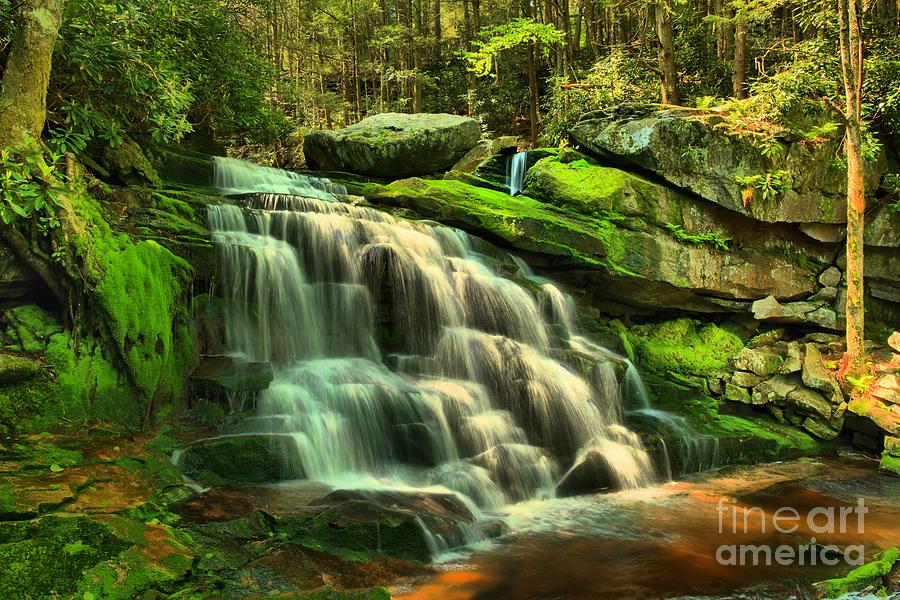 Waterfall Photograph - Pool In The Forest #1 by Adam Jewell