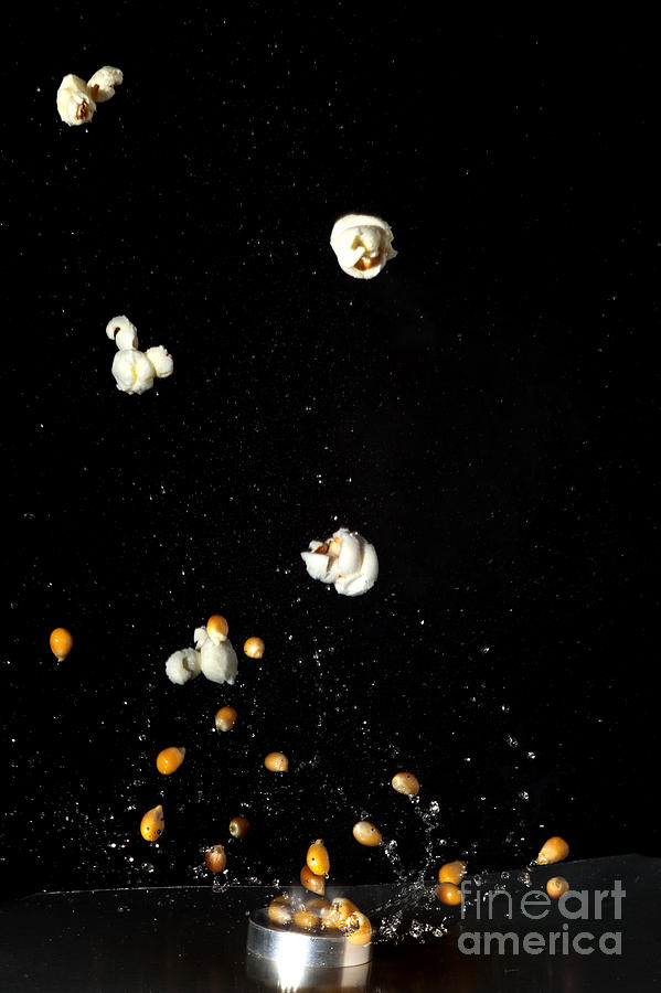 Popcorn Popping #1 Photograph by Ted Kinsman