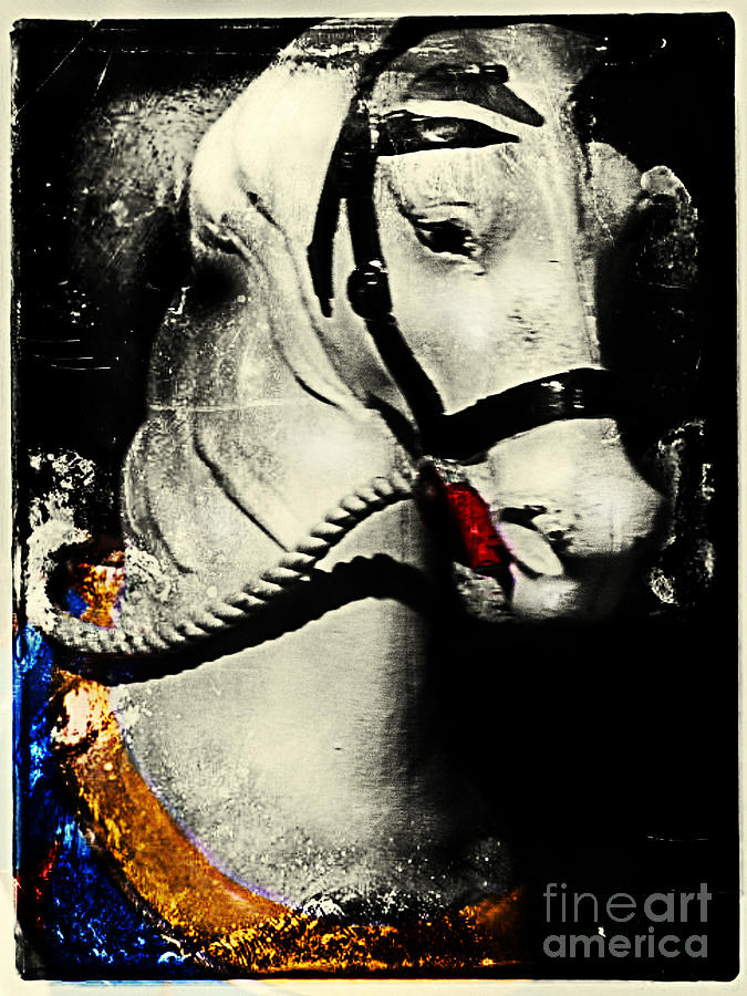 Portrait of a Carousel Pony #1 Photograph by Colleen Kammerer