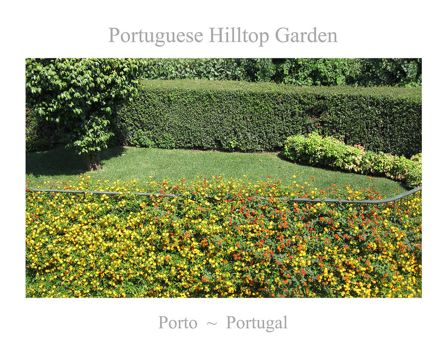 Portuguese Hilltop Garden Porto #1 Photograph by John Shiron