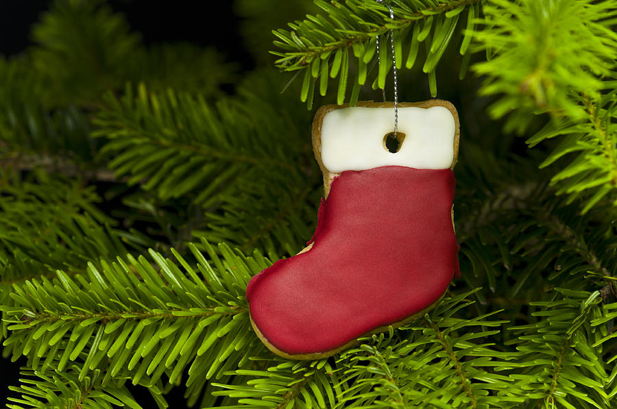 Christmas Photograph - Present sock shape short bread cookie in Christmas tree #1 by U Schade