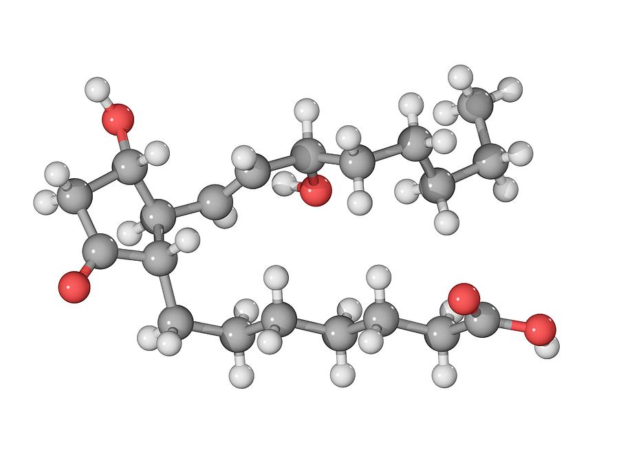 Prostaglandin E1 Photograph - Prostaglandin E1 Molecule #1 by Laguna Design