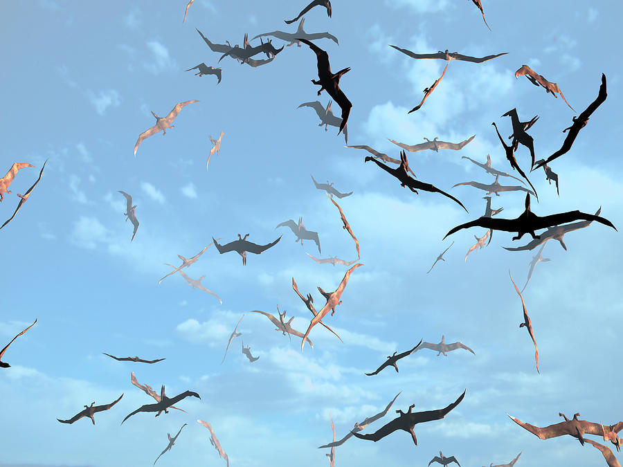 large pterosaurs