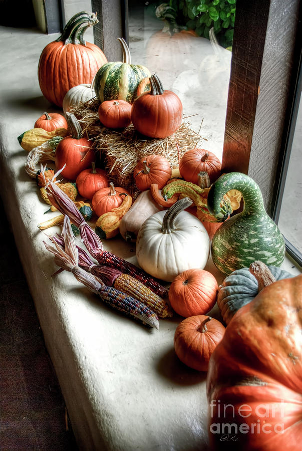 Fall Photograph - Pumpkins  #1 by Diego Re