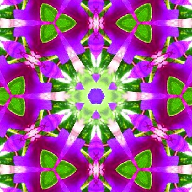Instagram Photograph - #purple And #green #fractalart #mandala #1 by Pixie Copley