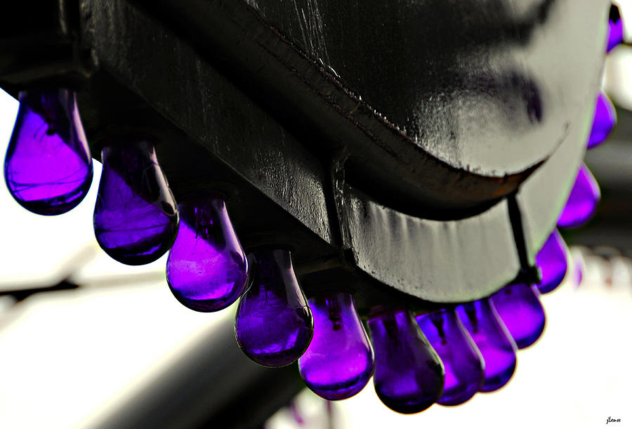 Abstract Photograph - Purple Bulbs by JoAnn Lense