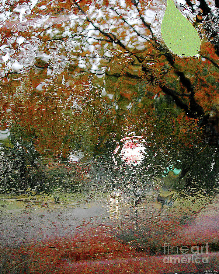 Rain #1 Photograph by Lizi Beard-Ward