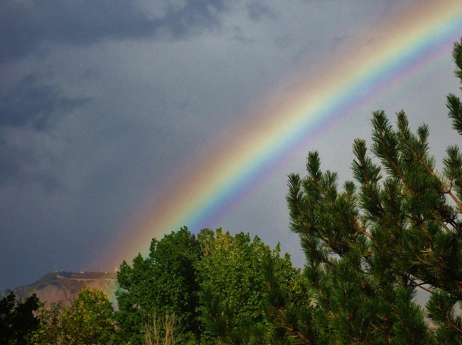 Tree Photograph - Rainbows End #1 by Lois Rivera