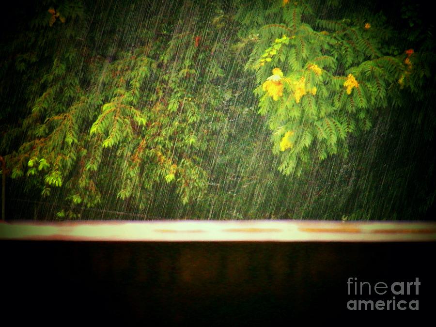 Rainy Day #1 Photograph by Joyce Kimble Smith