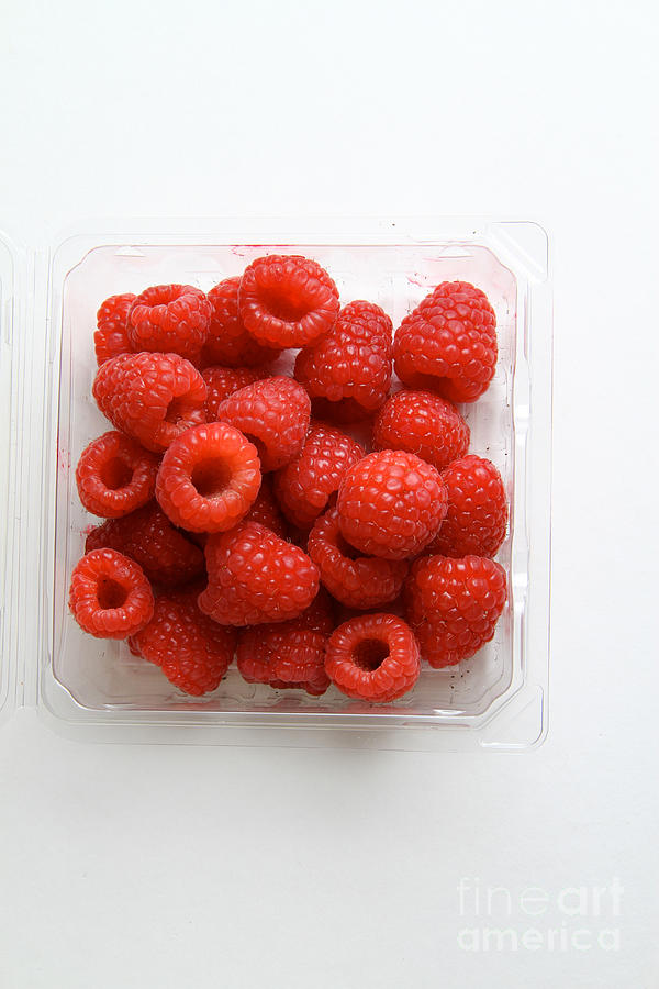 Raspberries #1 Photograph by Photo Researchers